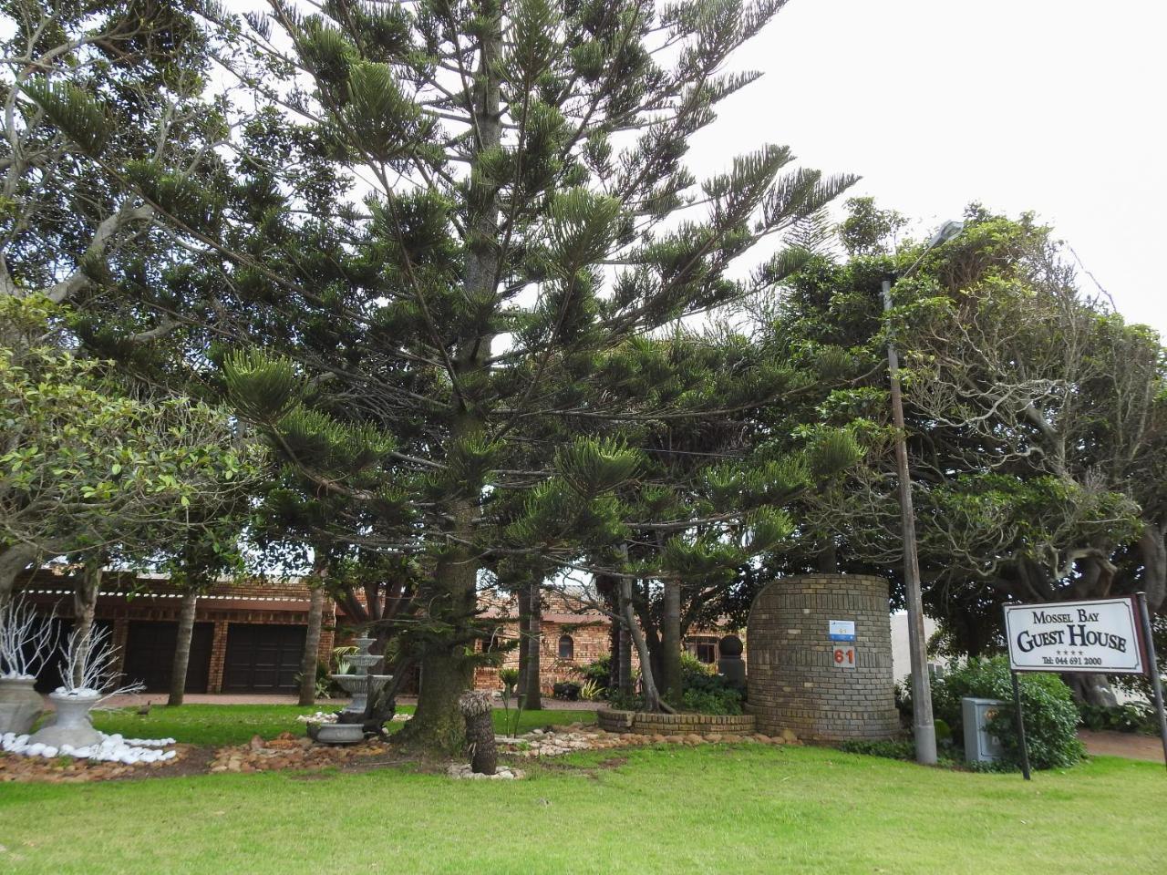 Mossel Bay Guest House Exteriér fotografie